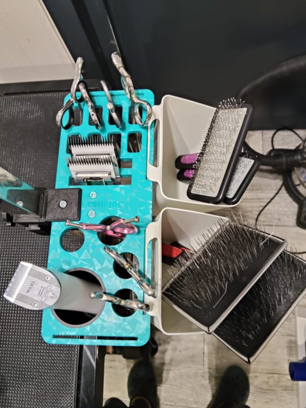 Organizer snap on